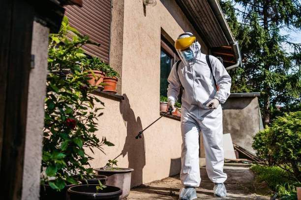 Best Flea Control Services  in Mill Plain, CT
