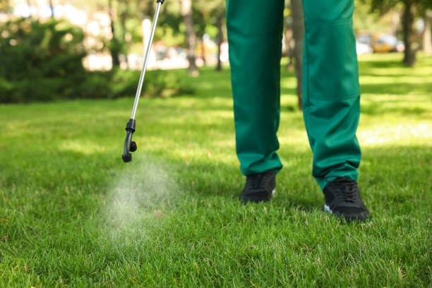 Best Best Pest Control Companies  in Mill Plain, CT