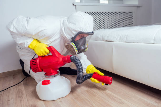 Best Local Pest Control Services  in Mill Plain, CT