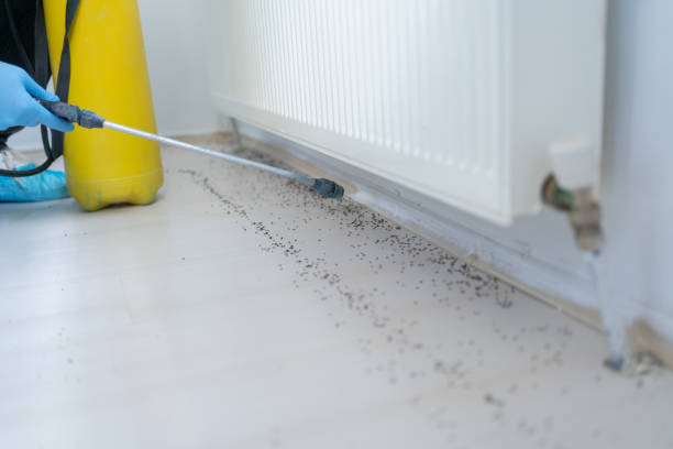 Best Commercial Pest Control Services  in Mill Plain, CT