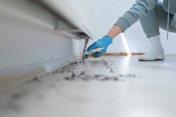 Best Pest Inspection Near Me  in Mill Plain, CT
